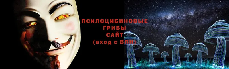 Псилоцибиновые грибы Psilocybine cubensis  купить закладку  Бородино 